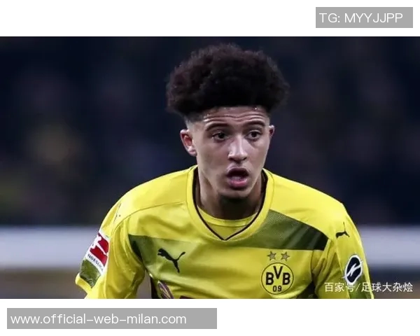 罗德里在球队中的关键作用与未来发展潜力分析